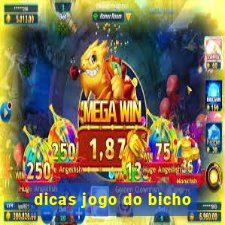 dicas jogo do bicho